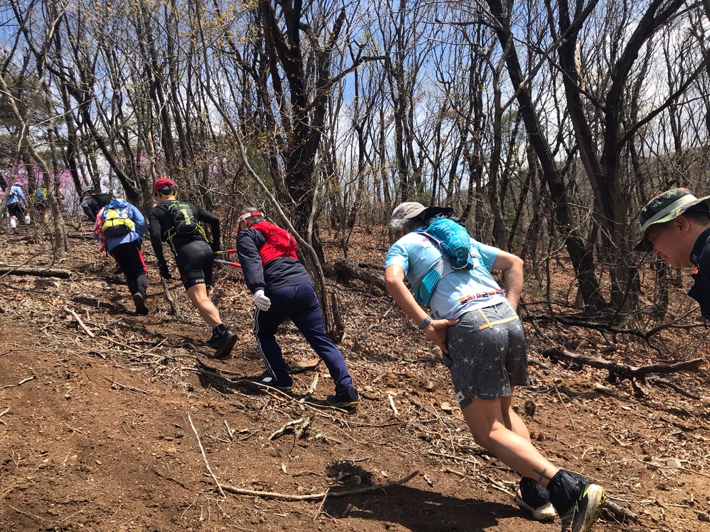 1775463802456-1775464486169.jpg