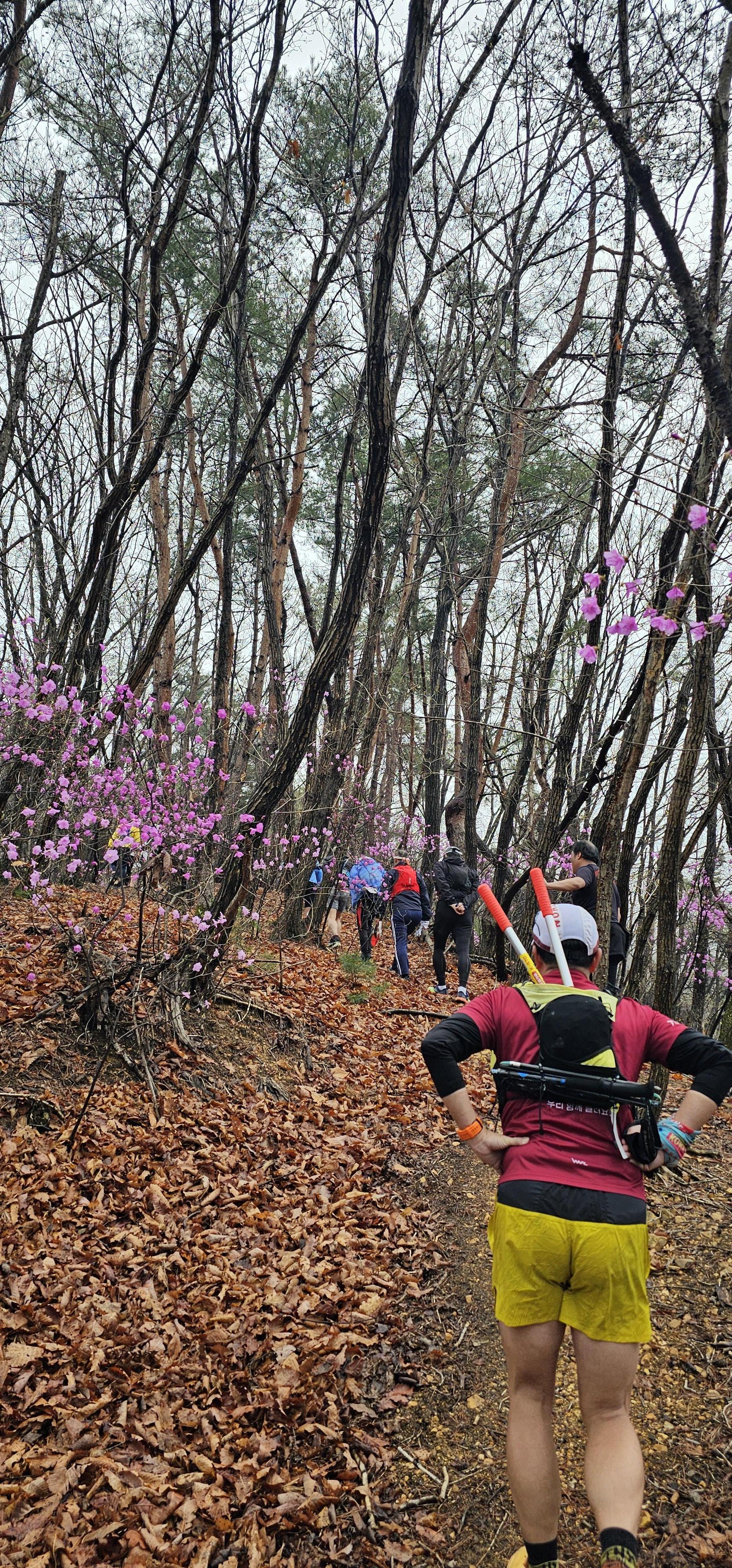 [2차 사전주] 앵자봉을 오르다